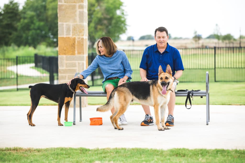 Couple Relaxing with their Dogs at the Dog Park