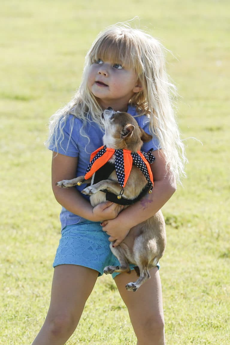 Little Girl Holding Her Dog at Sandbrock Ranch's Dog Park